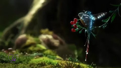 Omar Akram - Flight of Mystery