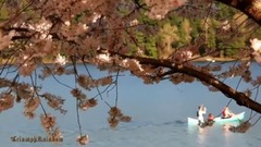 思念的日子(Piano ver.)