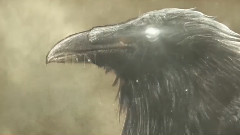 Iced Earth - Raven Wing