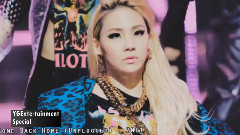 2NE1,韩国群星,BLACKPINK - YG entertainment 特別版精华 ( Rap by YG Artist Collection )