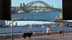 A Year Through My Window