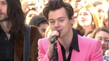 Harry Styles - Carolina 现场版 2017