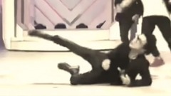 心之旅(薛之谦)