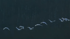 Not Alone In The Universe