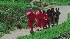 Fleet Foxes - Fool's Errand