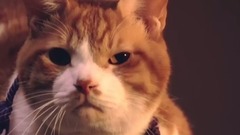 影视原声 - 《猫忍》メイキング映像