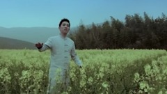 张东朗 - 画里含山