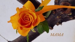 Lara Fabian - MAMA MOJA