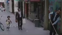 赵照 - 一匹白马