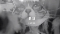 鹿晗 - 夜行记(Say it)