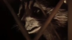 影视原声 - 电影<银河护卫队2>Cut