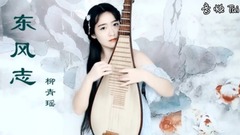 琵琶《东风志》虐心之燃