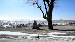 阿力普 - 阿力普的旅行短篇