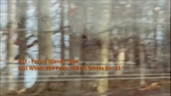 Billboard Top 30 Adult Alternative Songs