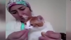 Ocu unu Besler Gibi Kedisini Besleyen Kad n zlesene