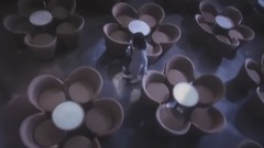 夏を待つセイル(帆)のように