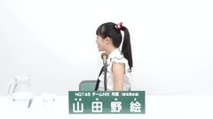 49th选拔总选举政见 - 山田野絵