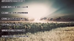 朴树 - 平凡之路