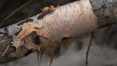 民乐群星,风景,音乐短片,轻音乐,乐动城市 - 心灵之旅 新英格兰的迷人风情