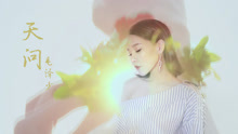 毛泽少 - 天问 电视剧《思美人》插曲