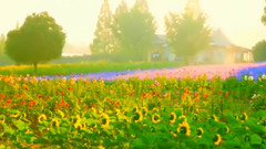 流浪他乡 国语版