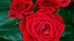 Eldar Mansurov - Melody