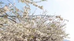 木村好夫:“两人的酒”