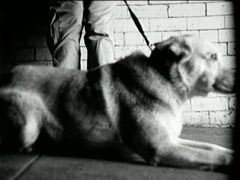 Coco And The Bean - Killing Time