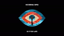 Nocturnal Tapes - Is It Too Late (Audio)