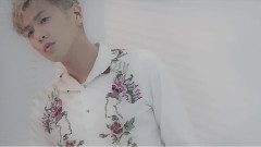 张若昀 生命从来不负责喧哗