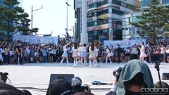 在路上 REAR FOCUS