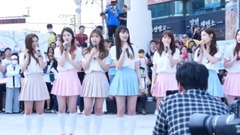 你不知道的春天