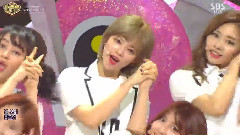 Signal 9合1现场混合