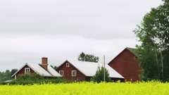 A Freestyle Daydream