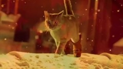 My Love For You Is Like All The Stars In The Sky