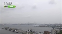 柏木由紀 ひるおび天気