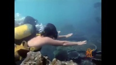 影视原声 - 潜海姑娘 纪录片<潜海姑娘>主题曲