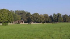 2016维也纳新年音乐会芭蕾舞:“激动万分快速波尔卡”