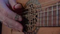 If I Were A Blackbird