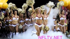 Pittsburgh Steelers Cheerleaders 2015 - 2016 Squad