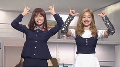 Idiotic Robot - 봇말려 [Gag Concert - 2017.06.03]