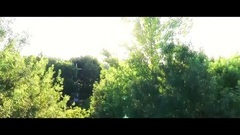 Nico,Cosy - Cine Oare