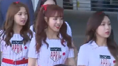 2017 DREAM CONCERT Red Carpet