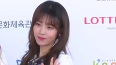 2017 DREAM CONCERT Red Carpet