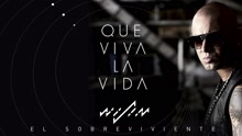 Wisin - Que Viva la Vida (Cover Audio)
