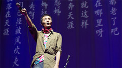 朴树 - 清白之年