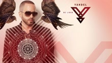 Yandel - De Líder a Leyenda: Track by Track