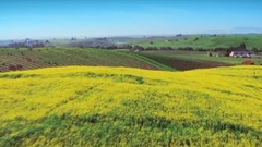 “充满诗意的旋律美”- 巴赫“G弦上的咏叹调”