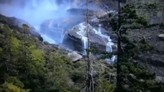 The Nature Of The Mus C