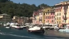 The Nature Of The Mus C Portof No Zlesene